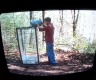 Displacement video 