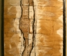 Figure study 3 with walnut ink 2006