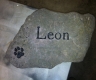 leon